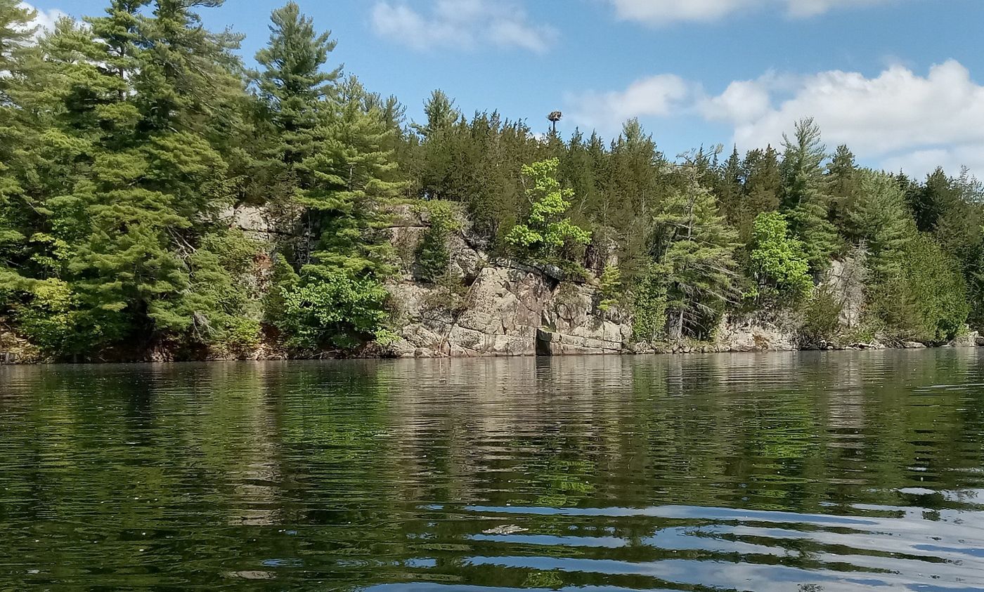 wide angle lanscape, conifers, rocky shore and calm water